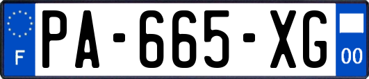 PA-665-XG
