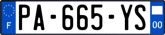 PA-665-YS