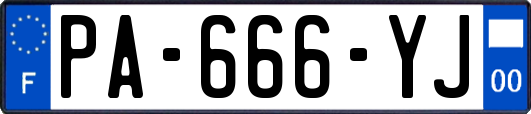 PA-666-YJ
