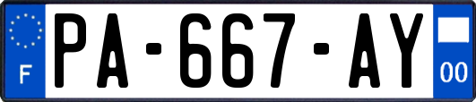 PA-667-AY