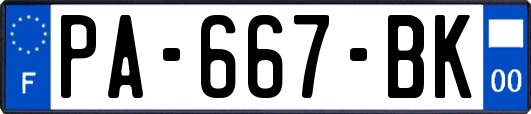 PA-667-BK