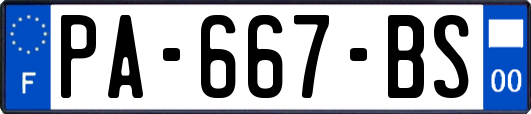 PA-667-BS
