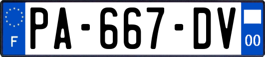 PA-667-DV