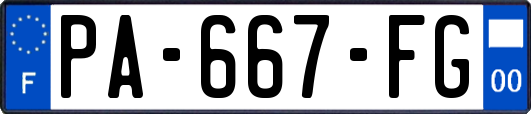 PA-667-FG