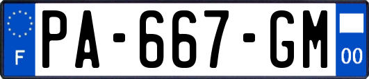 PA-667-GM