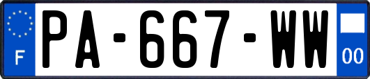PA-667-WW