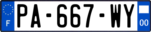 PA-667-WY