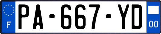 PA-667-YD