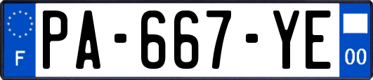 PA-667-YE