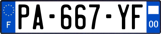 PA-667-YF