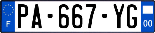 PA-667-YG