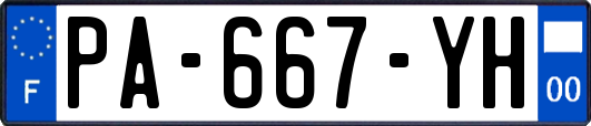 PA-667-YH