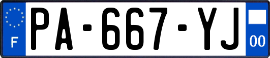 PA-667-YJ