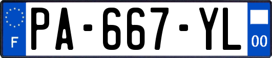 PA-667-YL