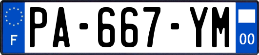 PA-667-YM