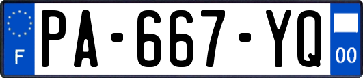 PA-667-YQ