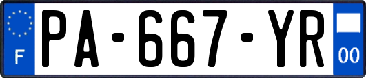 PA-667-YR