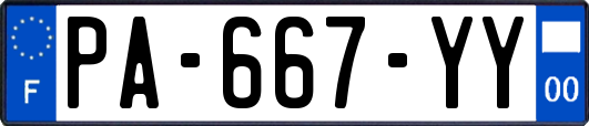 PA-667-YY