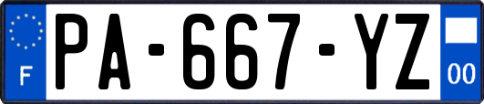 PA-667-YZ