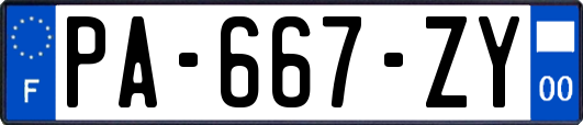 PA-667-ZY