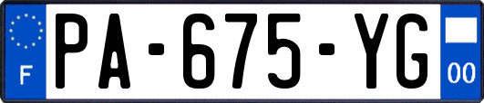 PA-675-YG