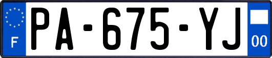 PA-675-YJ