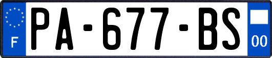 PA-677-BS