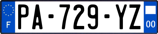 PA-729-YZ