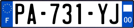 PA-731-YJ