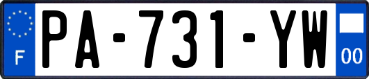 PA-731-YW