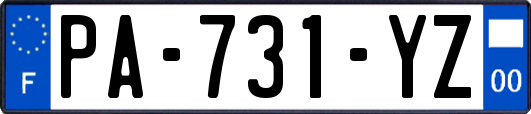 PA-731-YZ