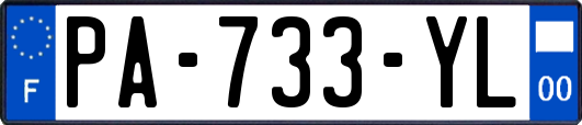 PA-733-YL
