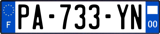 PA-733-YN