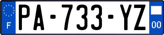 PA-733-YZ