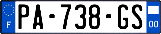 PA-738-GS