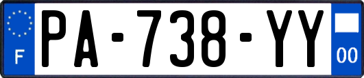 PA-738-YY