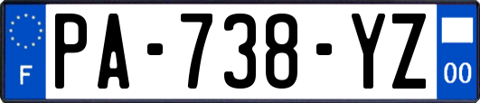 PA-738-YZ