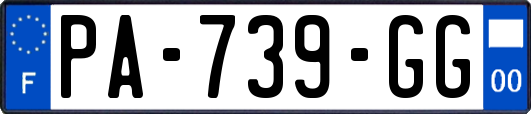PA-739-GG