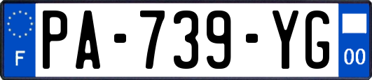 PA-739-YG
