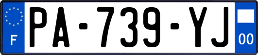 PA-739-YJ