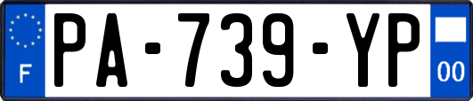 PA-739-YP