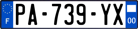 PA-739-YX
