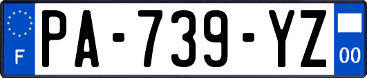 PA-739-YZ