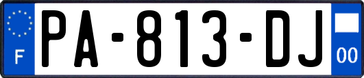PA-813-DJ
