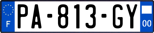 PA-813-GY