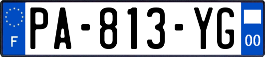 PA-813-YG