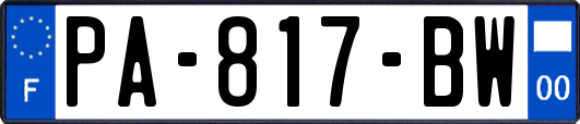 PA-817-BW