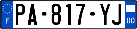 PA-817-YJ