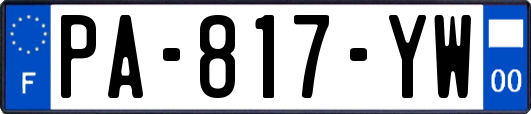 PA-817-YW