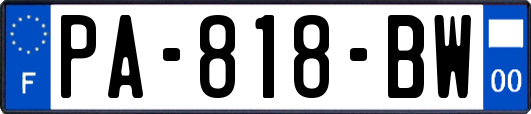 PA-818-BW